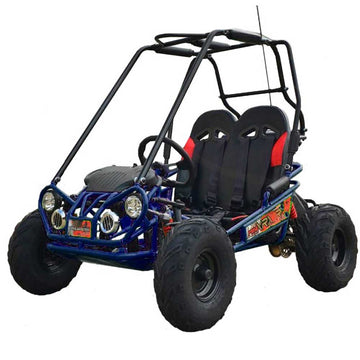 Trailmaster Mini XRX+ 2- Seater GO-KART EAGLE SERIES 163cc Blue