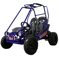 Trailmaster Mini XRX+ 2- Seater GO-KART EAGLE SERIES 163cc Blue - Image 4