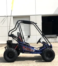 Trailmaster Mini XRX+ 2- Seater GO-KART EAGLE SERIES 163cc Blue - Image 3