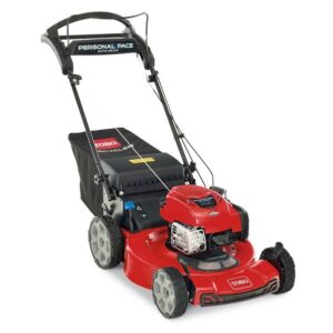 Toro Recycler Self-Propelled Mower 163cc Briggs & Stratton 7.25 TP (22″) #21462
