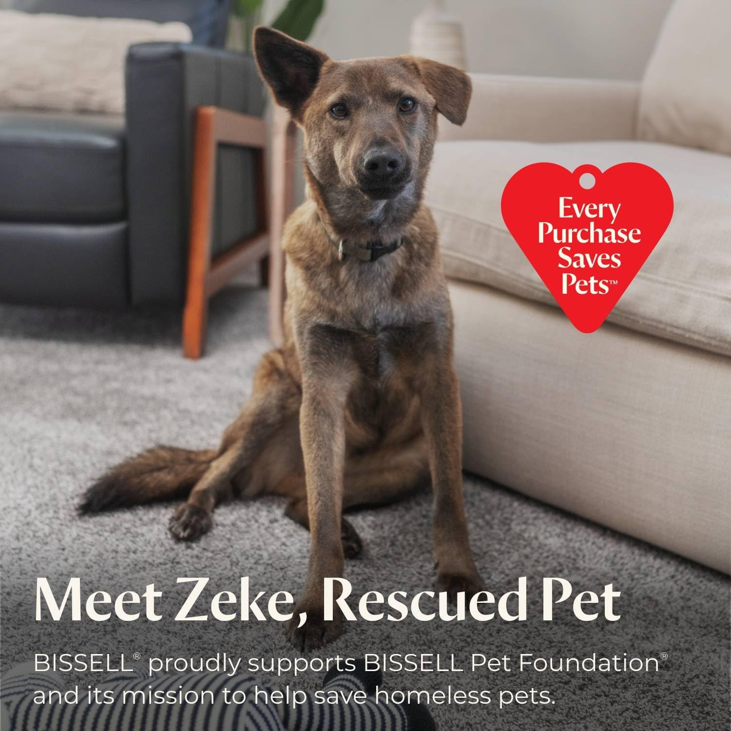 BISSELL Revolution HydroSteam Pet Carpet Cleaner, 3432 - Image 15