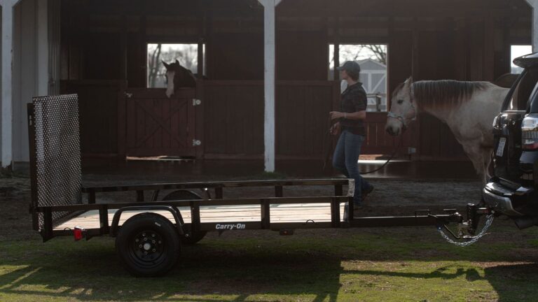 Utility Trailer 5×8 - Image 4
