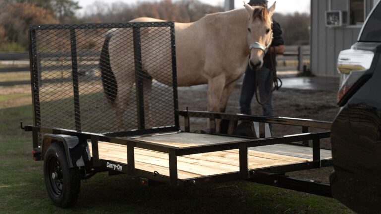 Utility Trailer 5×8 - Image 3